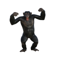 chimpanzee 3d render png