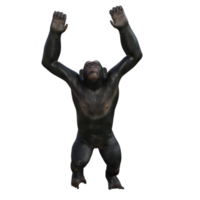 scimpanzé 3d rendere png