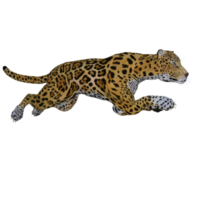 modelo de ilustración de pose 3d de jaguar png