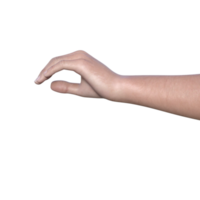 hands pose gesture 3d rendering png