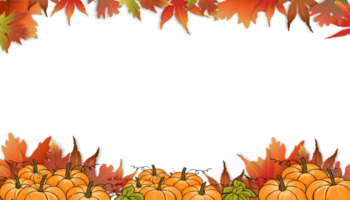 Autumn background with pumpkin and maples leaves border, Fall  template design with multicolour of leafs for Harvest festival background, Vector leaves frames with copy space for Thanksgiving festival png