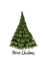 Kerstmis boom met goud ster en licht lamp. waterverf vrolijk Kerstmis en nieuw jaar illustratie met Kerstmis boom decoratie voor uitnodiging of groet kaart. png