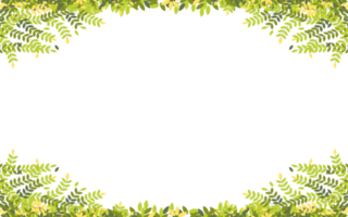 Spring branches with leaves on border with copy space, Green and Yellow leaves frame on white background, Vector illustration Panorama landscape summer leaves frame. png