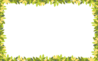 ramas de primavera con hojas en el borde con espacio de copia, marco de hojas verdes y amarillas sobre fondo blanco, ilustración vectorial paisaje panorámico marco de hojas de verano png
