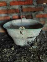 green bucket and brick wall photo