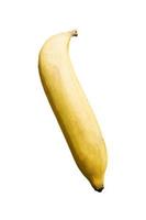 Close-up banana on black wood background Clipping path photo