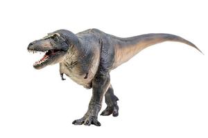 Tarbosaurus  Dinosaur on white isolate background Clipping path photo