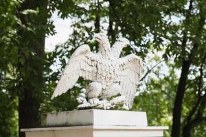 A double-headed eagle stone statue , the symbol of the Russian Federation. The architectural element of the gerden decor. photo