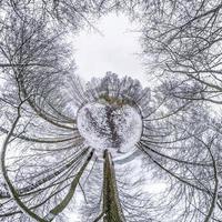 Winter tiny planet in snow covered pinery forest. transformation of spherical panorama 360 degrees. Spherical abstract aerial view in forest. Curvature of space. photo