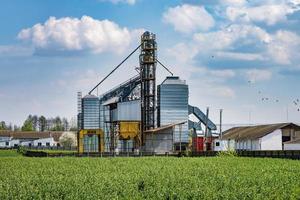 ascensor de granero moderno. silos de plata en la planta de procesamiento y fabricación de productos agrícolas para el procesamiento, secado, limpieza y almacenamiento de productos agrícolas, harina, cereales y granos. línea de limpieza de semillas foto