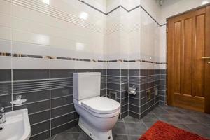 toilet and detail of a corner shower cabin with wall mount shower attachment photo