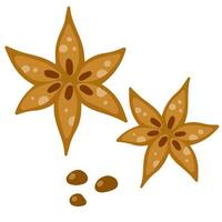 Anise star. Aromatic seasoning. Brown dried food and spice. Flat cartoon isolated on white. vector