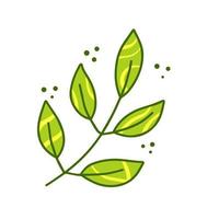 Branch with green leaves. Plant and part of tree. Flat cartoon illustration vector