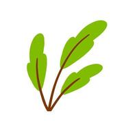 Branch with green leaves. Plant design. Element of wood and nature. Flat simple illustration vector