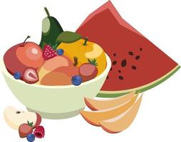 ilustración vectorial de un gran conjunto de frutas de sandía, manzana, mango, aguacate, bayas aisladas en fondo blanco vector