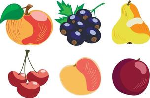 Vector set of 6 hand drawn garden fruits, apple, blackcurrant, pear, cherries, peach and plum. Isolated on white background.