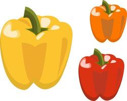 Set of three colorful bell peppers, red, yellow and orange isolated on white background vector