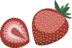 Fresh red strawberry, whole and sliced isolated on white background vector