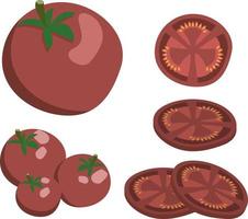 conjunto de tomates maduros rojos, enteros y en rodajas, aislado sobre fondo blanco vector