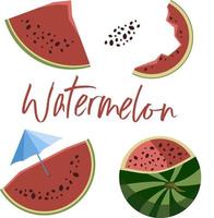 Set of watermelon fruit, chopped, whole and seeds, isolated on white background vector