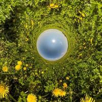 blue sphere little planet inside dandelion field. photo