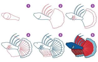 Instructions for drawing cute betta. Follow step by step for drawing betta. Worksheet for kid learning to draw aquarium fish. Game for child vector page. Scheme for drawing betta.