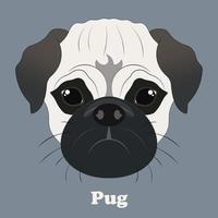 Pug. Print with a beautiful dog with a background. Vector illustration