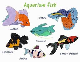 Cute cartoon collection of bright aquarium fish. Cartoon fish. Closeup of aquarium fish on white background for decoration design. Vector illustration