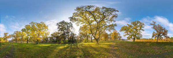 hermoso bosque otoñal o parque de robles con ramas torpes cerca del río en otoño dorado. panorama hdri con sol brillante brillando a través de los árboles. foto