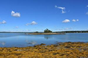 Little French Island on a Perfect Day photo