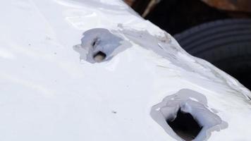 coche blanco acribillado a balazos. guerra de rusia contra ucrania. el coche de civiles, baleado durante la evacuación de civiles. rastros de balas y fragmentos de proyectiles en la parte trasera de un sedán. video