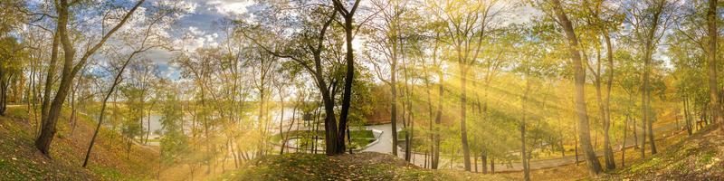 hermoso bosque otoñal o parque hdri panorama con sol brillante brillando a través de los árboles. paisaje escénico con agradable sol cálido foto