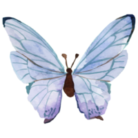 aquarela azul borboleta roxa png