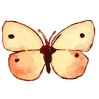 papillon jaune aquarelle png