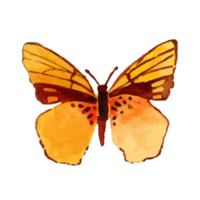 Watercolor Yellow Butterfly png