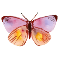 papillon violet aquarelle png