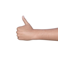 hands pose gesture 3d rendering png