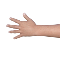 hands pose gesture 3d rendering png