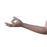 hands pose gesture 3d rendering png