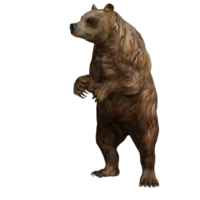 urso de ilustração 3D png