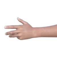 hands pose gesture 3d rendering png