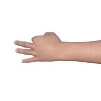 hands pose gesture 3d rendering png