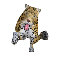 modelo de ilustração de pose 3d jaguar png