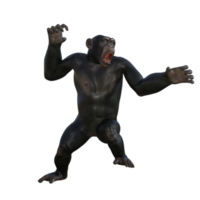 chimpanzee 3d render png