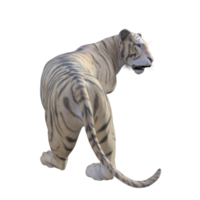 Tiger 3d model illustration png