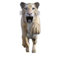 Tiger 3d model illustration png