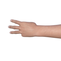 hands pose gesture 3d rendering png