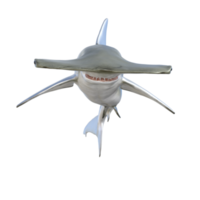 Shark 3d model illustration png