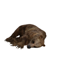 urso de ilustração 3D png