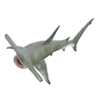 Shark 3d model illustration png